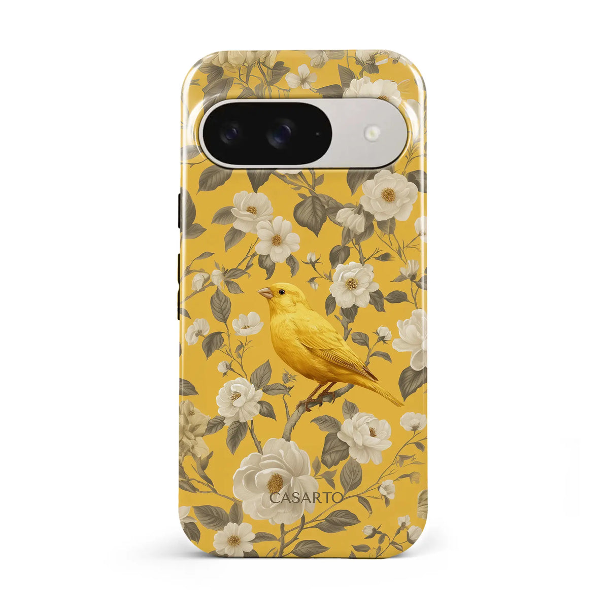 Bird Garden