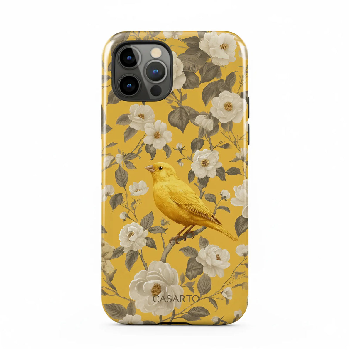 Bird Garden