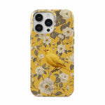Bird Garden