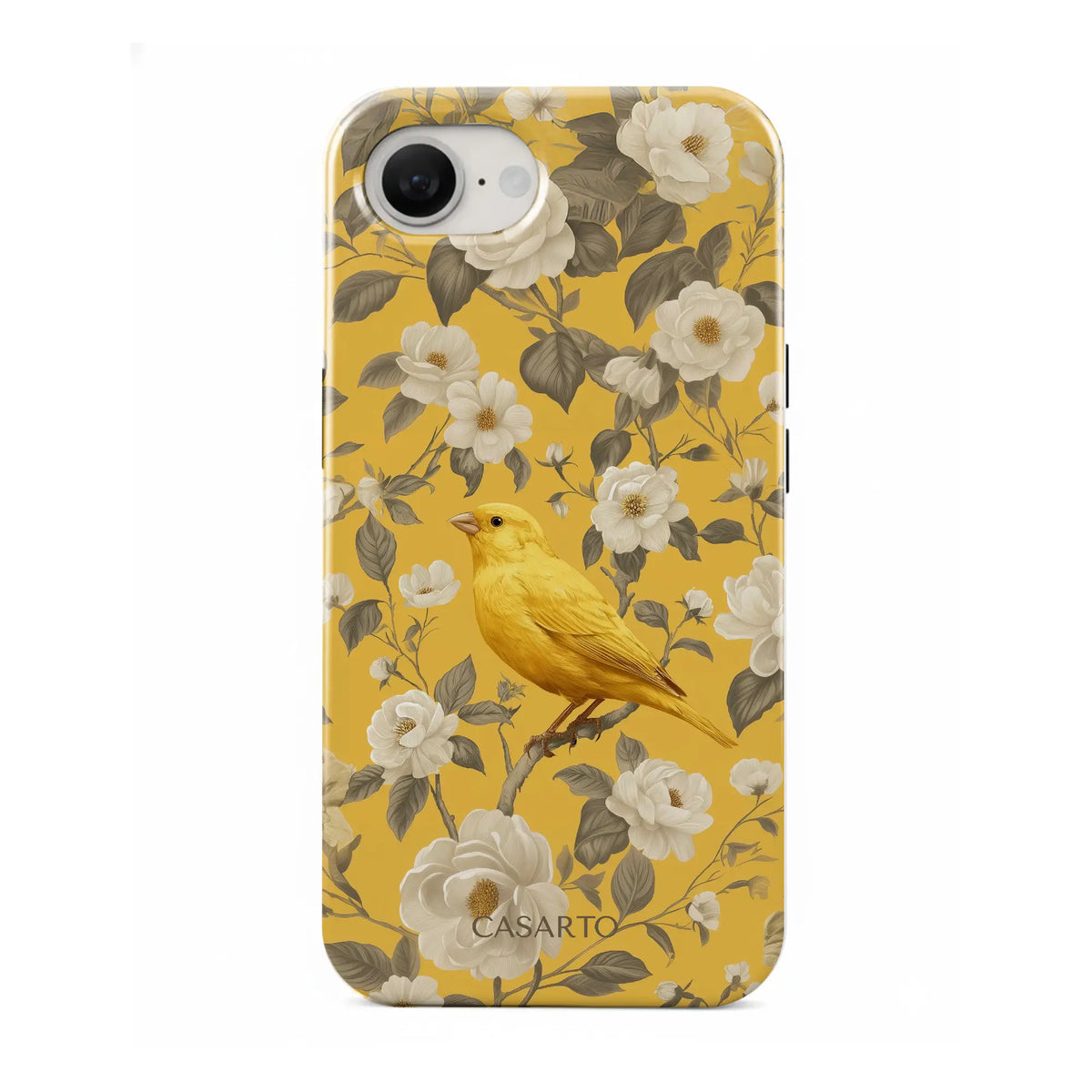 Bird Garden