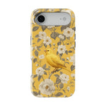 Bird Garden