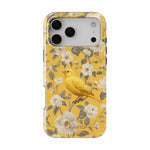 Bird Garden