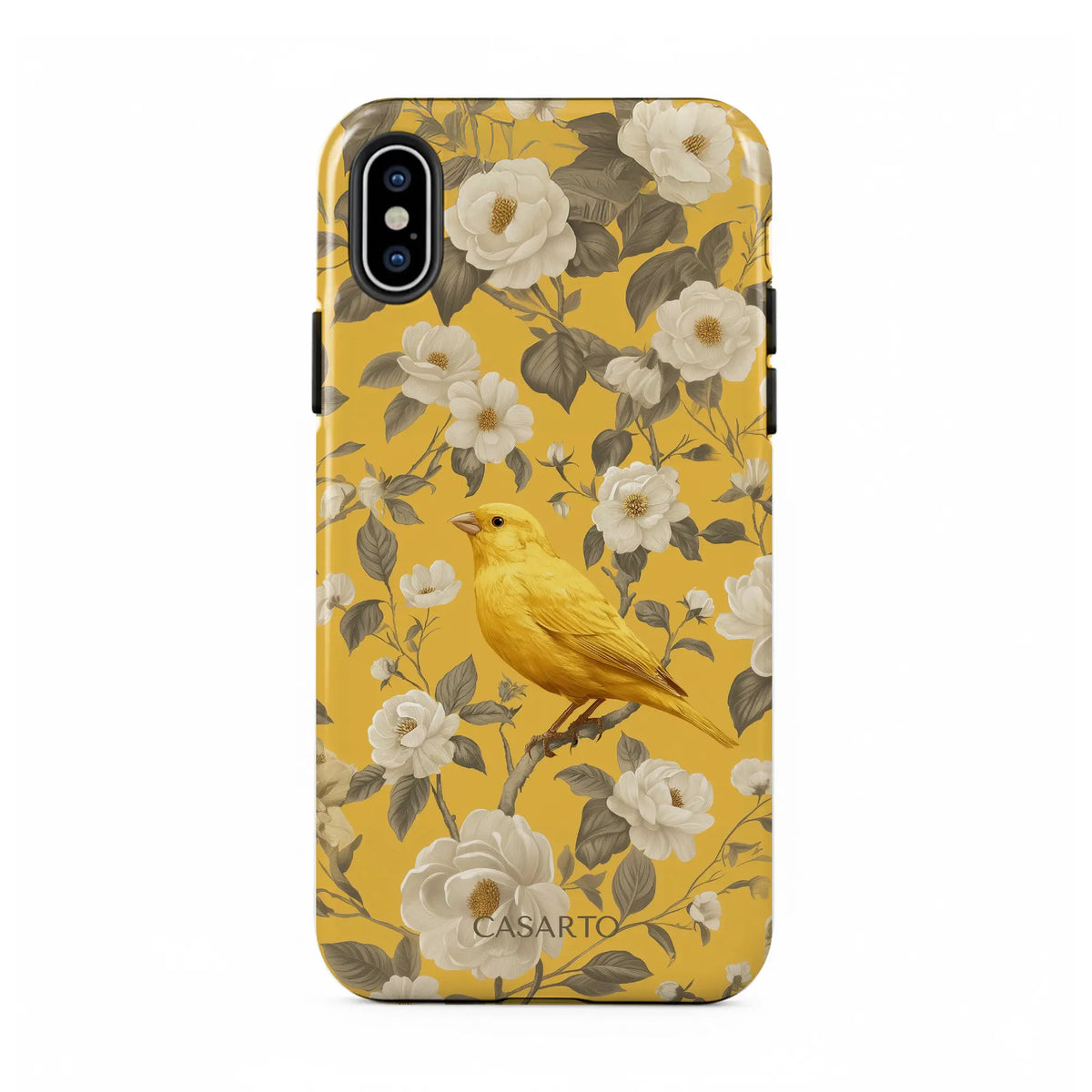 Bird Garden