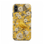 Bird Garden