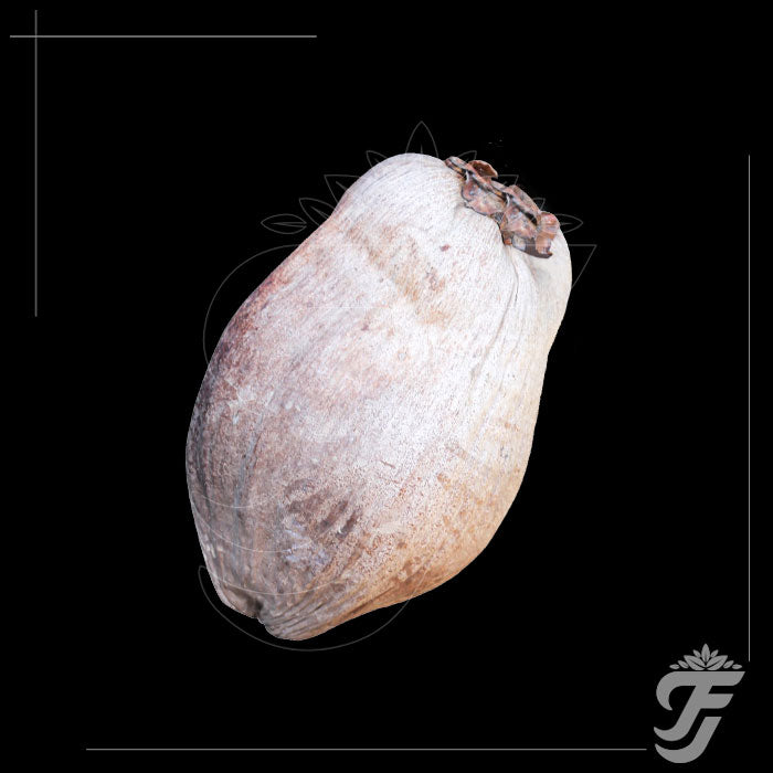 COCONUT DRY-WITH FULL HUSK-1PC product image 1