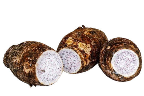 Cocoyam Uganda