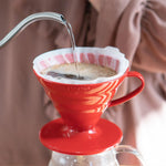 Hario V60-02 Plastik-Dripper