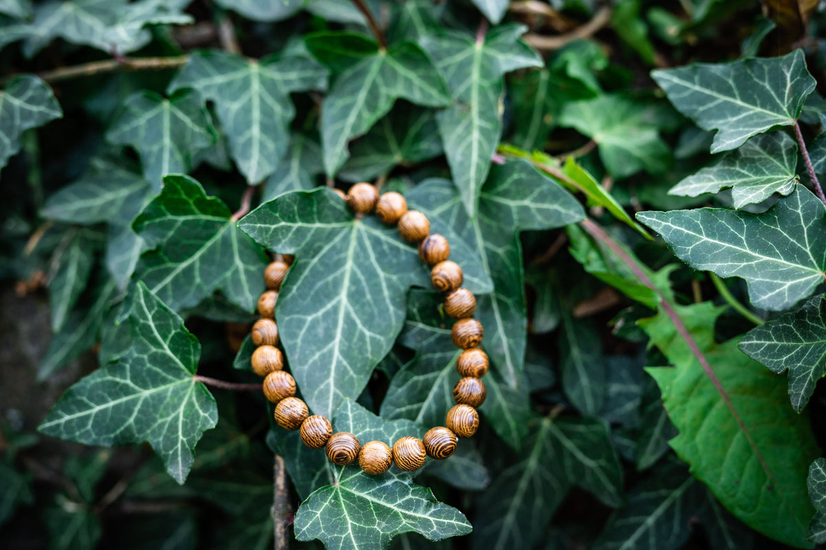 Zedernholz Armband