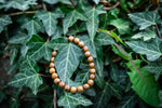 Zedernholz Armband