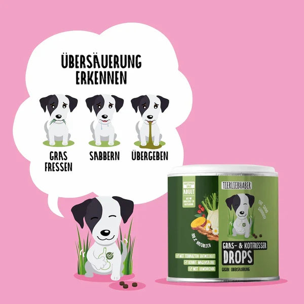 Frühlings Bundle von Tierliebhaber Grasfresser Drops und Z-Snack