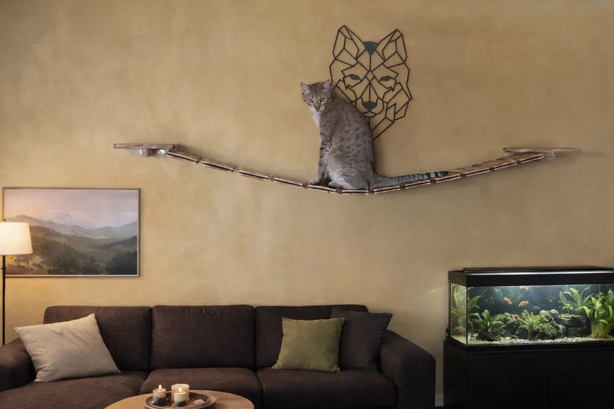 Wandpark Maine Coon Natur – MediKratz