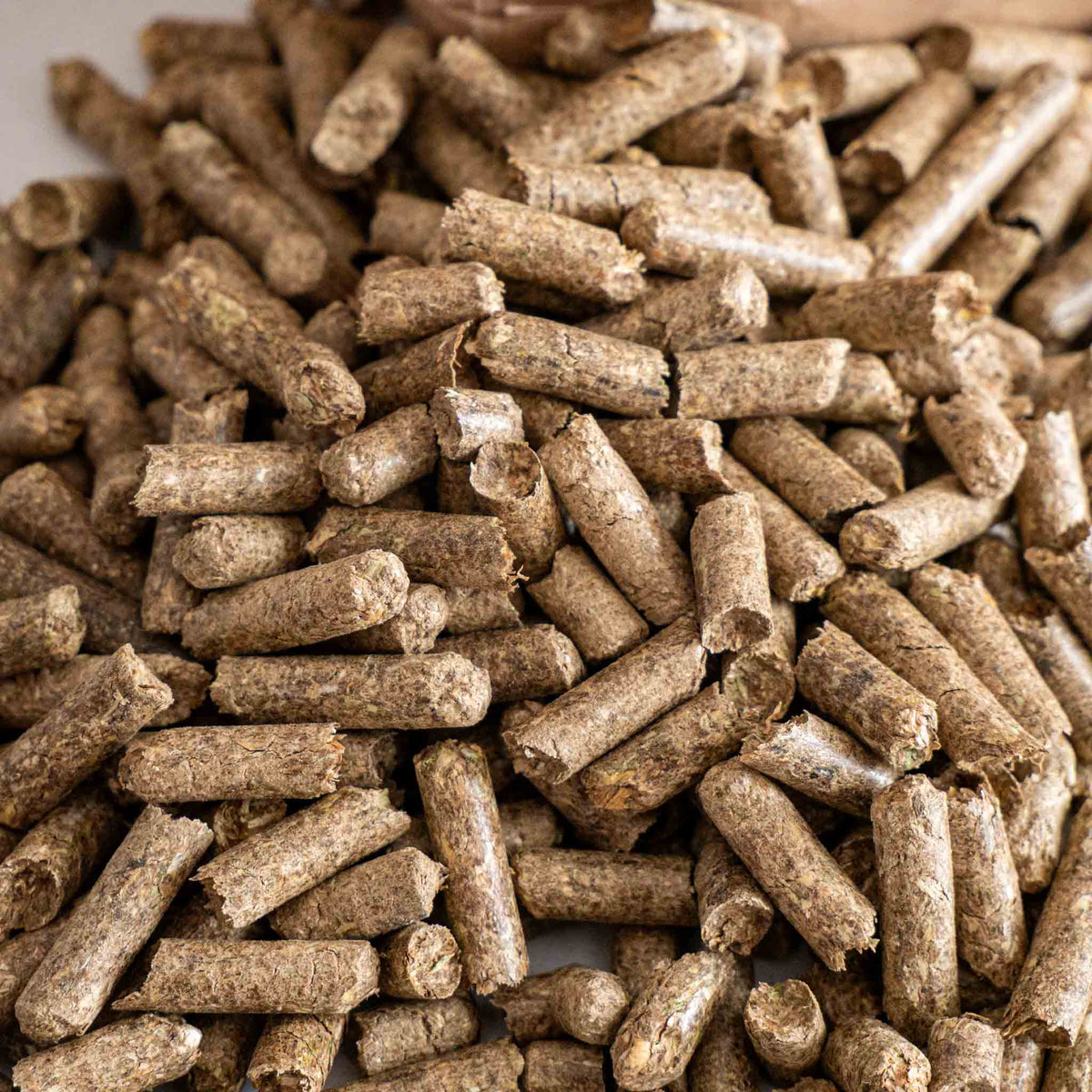 Strohpellets Einstreu, staubarm – für Kaninchen & Meerschweinchen