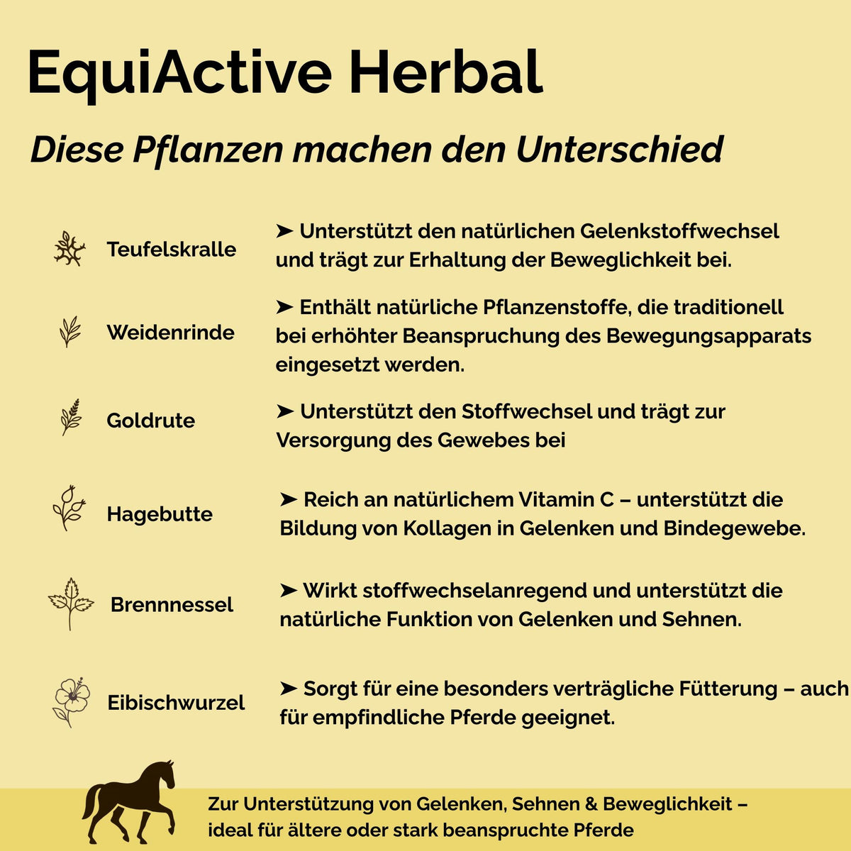 EquiActive Herbal 1kg – Kräutermischung zur Unterstützung von Beweglichkeit & Vitalität beim Pferd