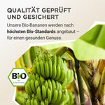 Fruit Powder - Banana