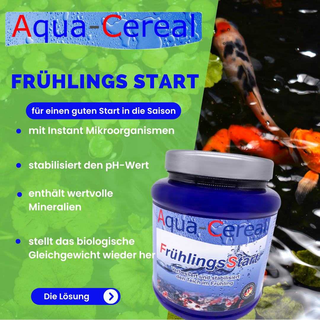 Aqua-Cereal FrühlingsStart - für ein stabiles Ökosystem