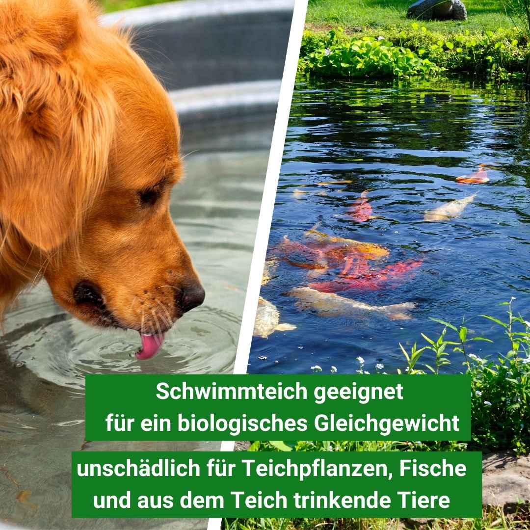 Aqua-Cereal FrühlingsStart - für ein stabiles Ökosystem