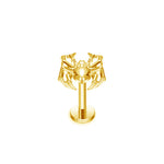 Spinne schlicht Labret aus Titan