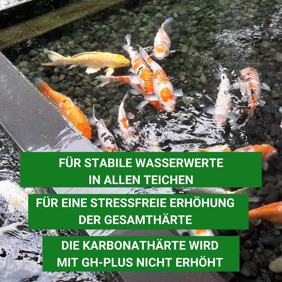 Aqua-Cereal® GH-Plus 4,5kg