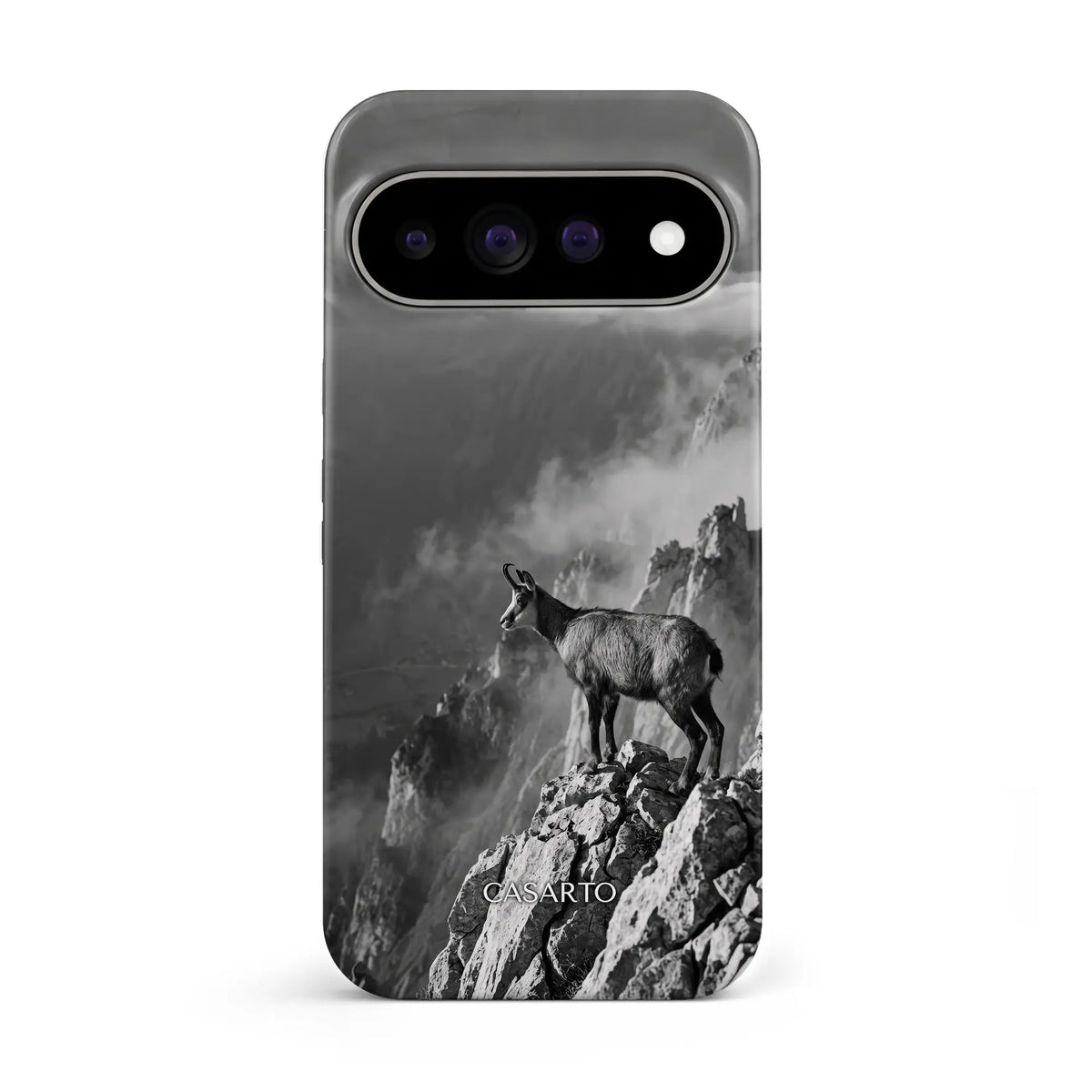 Summit Sentinel