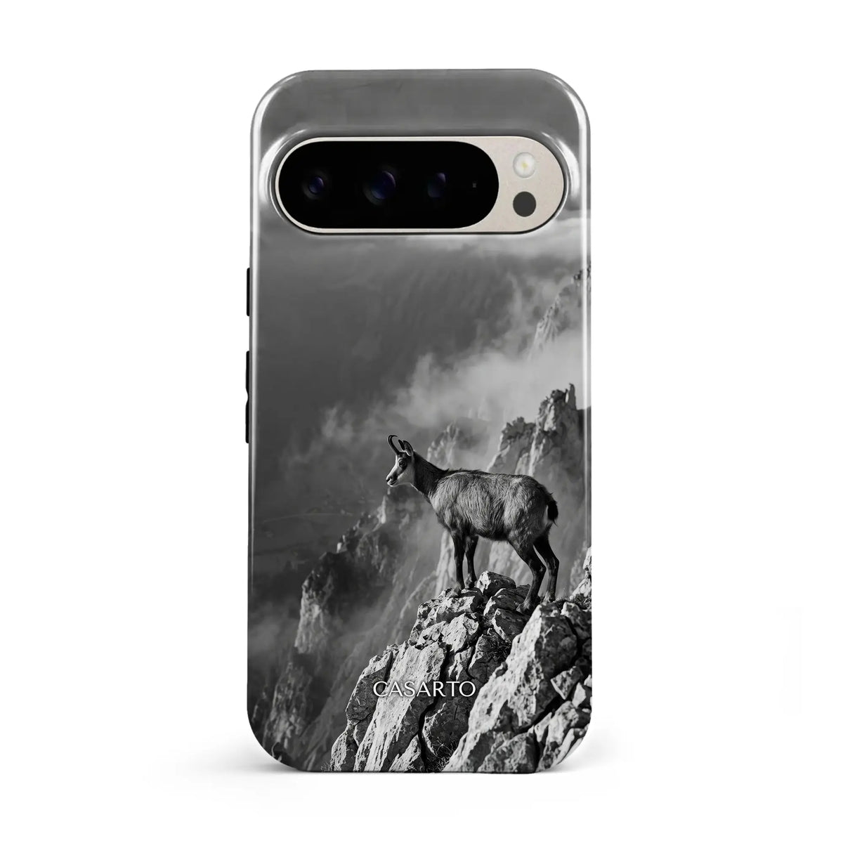 Summit Sentinel