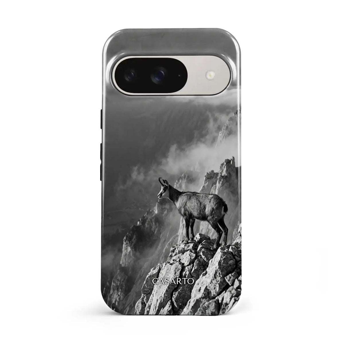 Summit Sentinel