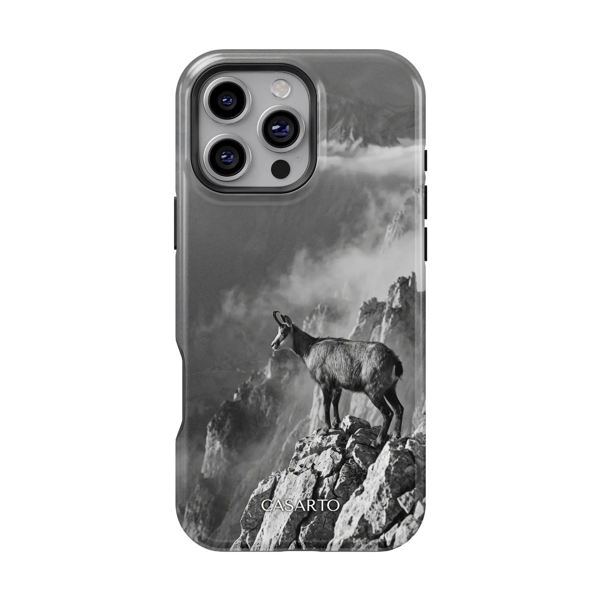 Summit Sentinel