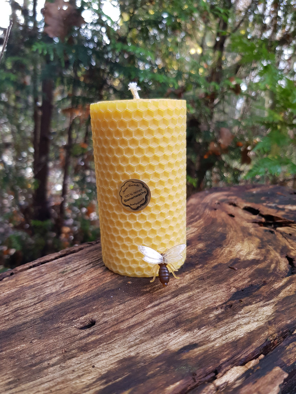 Gedrehte Bienenwachskerzen