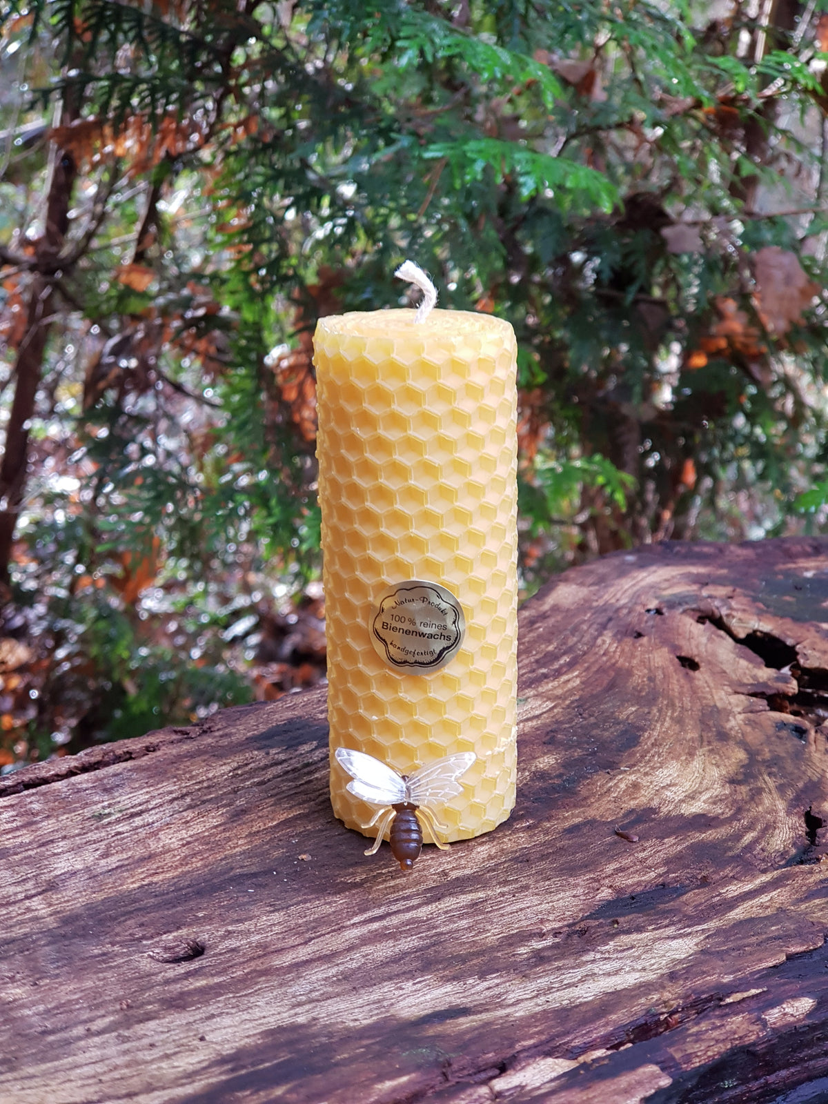 Gedrehte Bienenwachskerzen