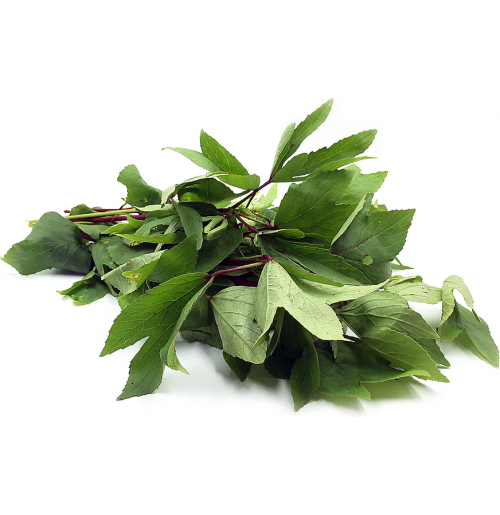Gongura leaves 1 bunch