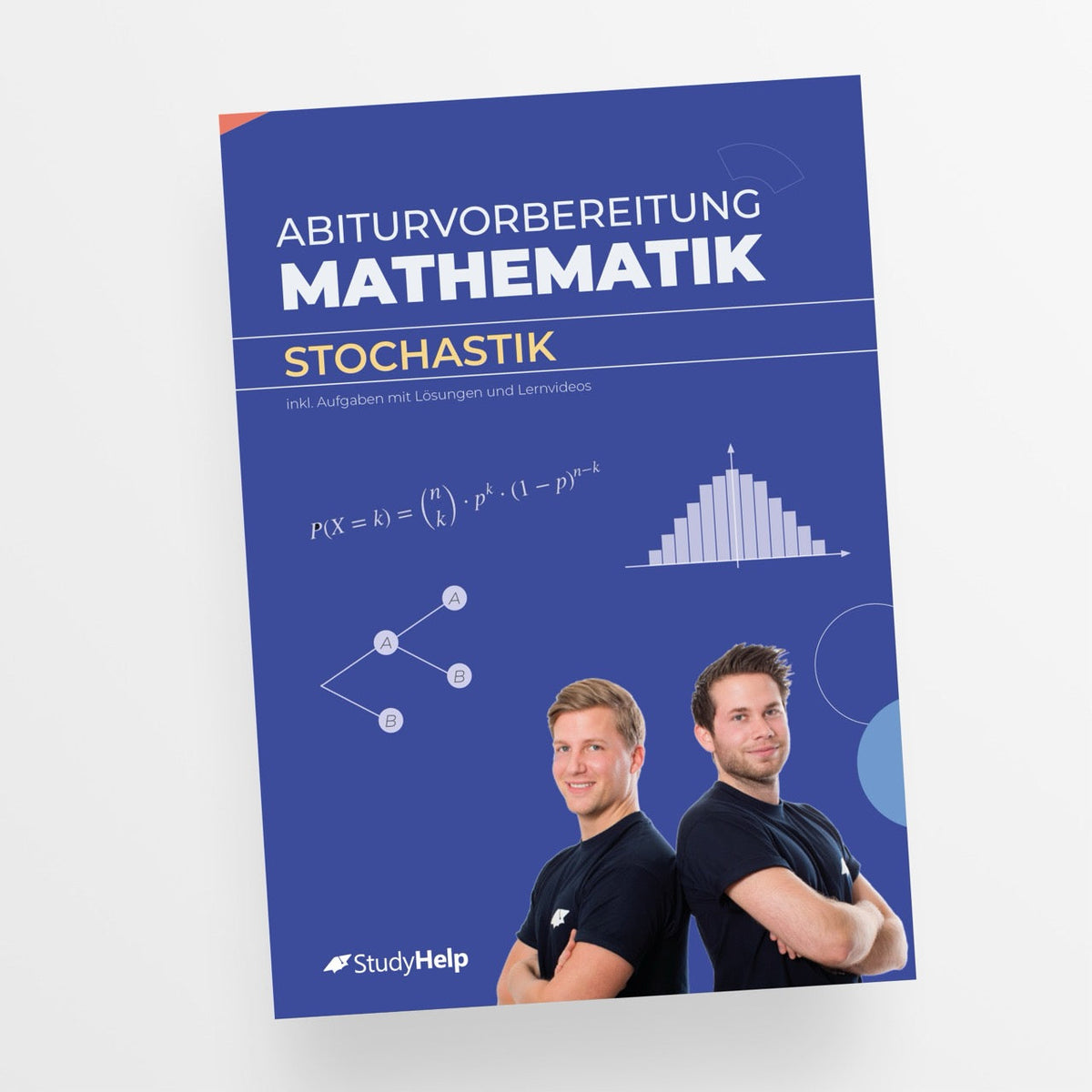 Mathe ABI Vorbereitung mit StudyHelpTV