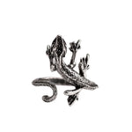 Retro Punk Ring