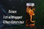 Xenomorph Larva Art Poster