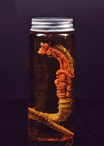 Xenomorph Larva Art Poster