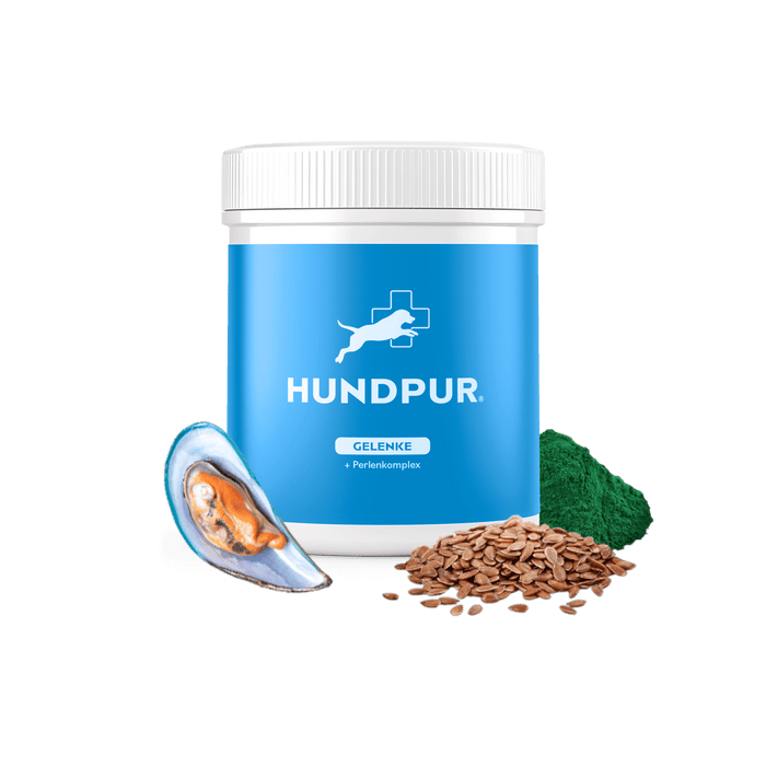 Hundpur® Gelenke mit Grünlippmuschel