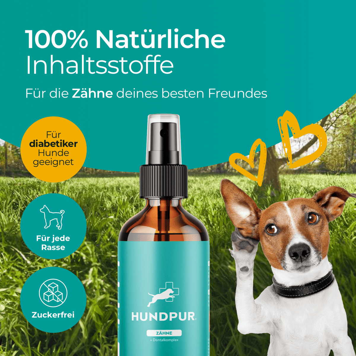 Hundpur® Dentalspray für Hunde