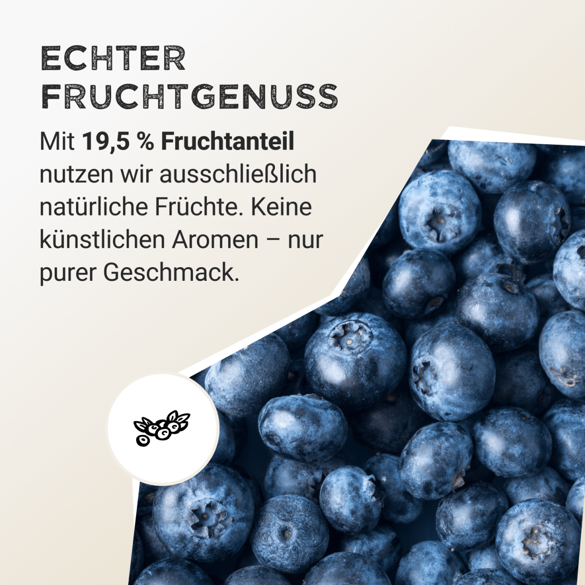 Whey Protein - Wild Blueberry