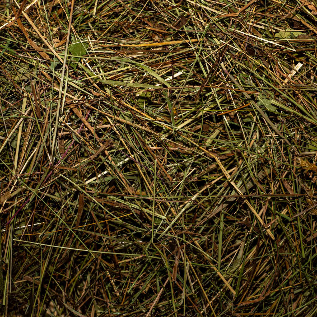 Naturwiesenheu Basic für Kaninchen & Meerschweinchen
