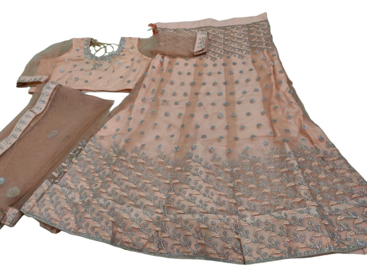 Tittle:-   Complete Stitched Embroidered Lehenga Choli In Germany (Peach )/Bridal Lehenga In Germany