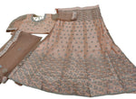 Tittle:-   Complete Stitched Embroidered Lehenga Choli In Germany (Peach )/Bridal Lehenga In Germany