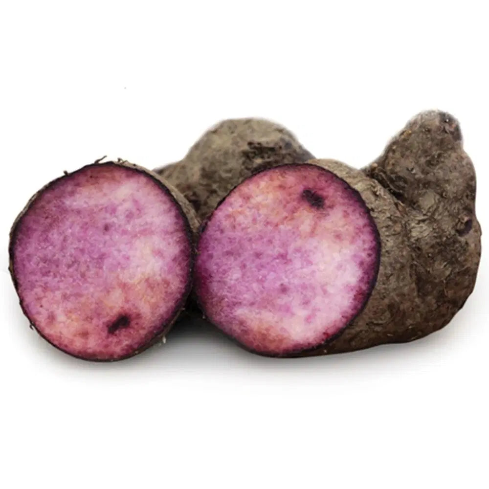 Purple Yam