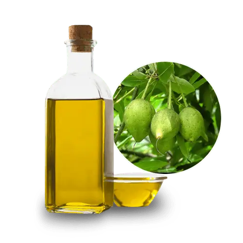 Agam Mohua / Iluppai Oil 200ml