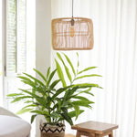 LIKU (natur)