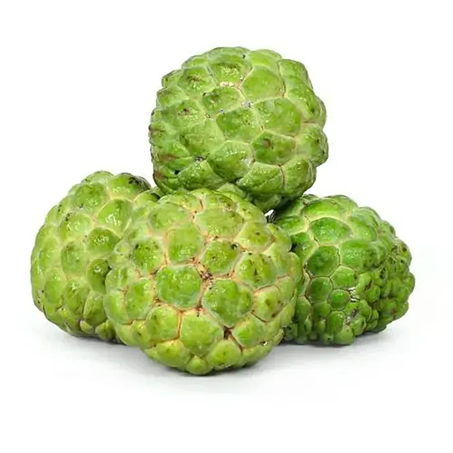 Custard apple (only Hamburg self pickup ) 750-800g