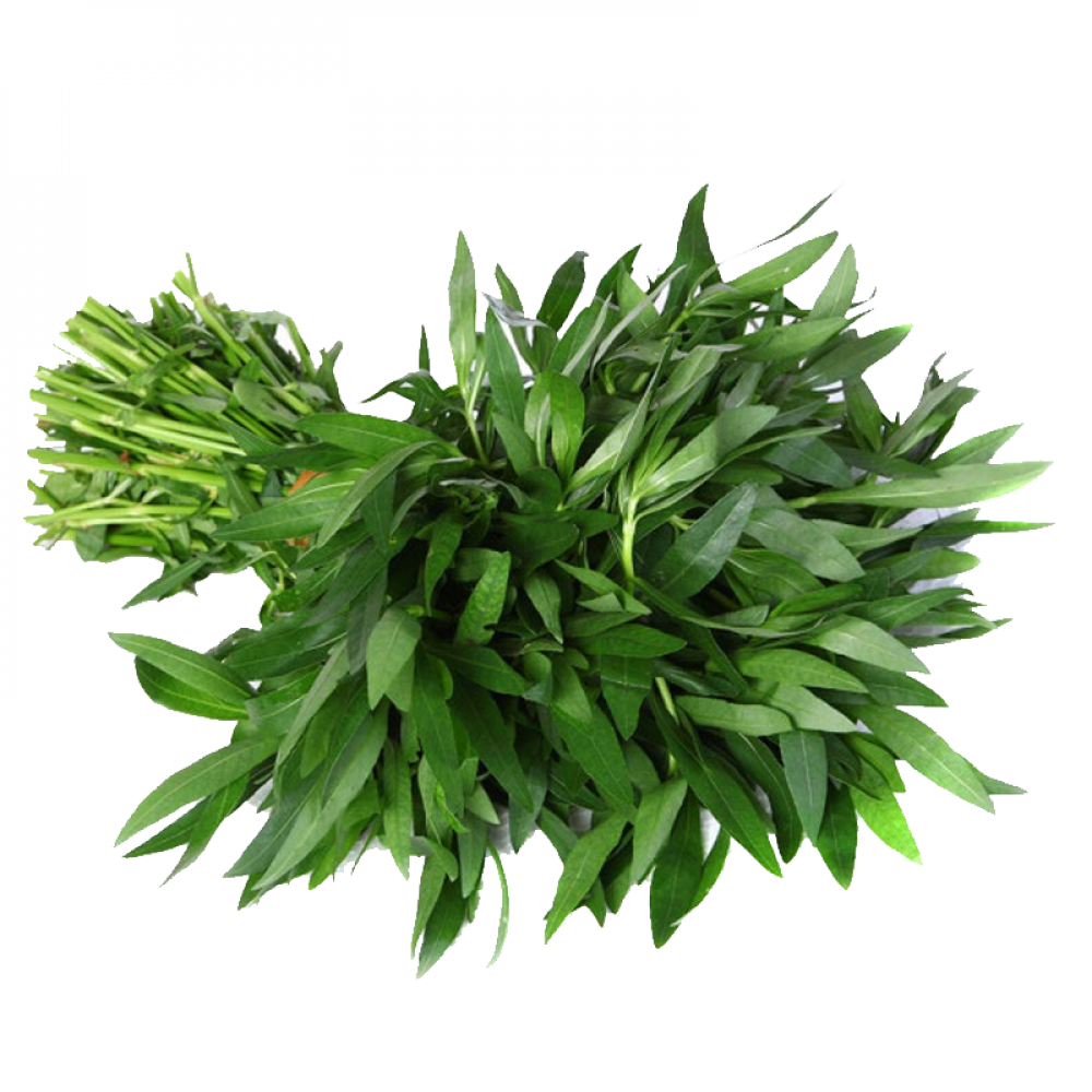 Ponnanganni / dwarf copperleaf  1 bunch