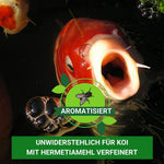 KENKOU® Selektion INTENS Farbfutter-MIX in 5 oder 10 Liter