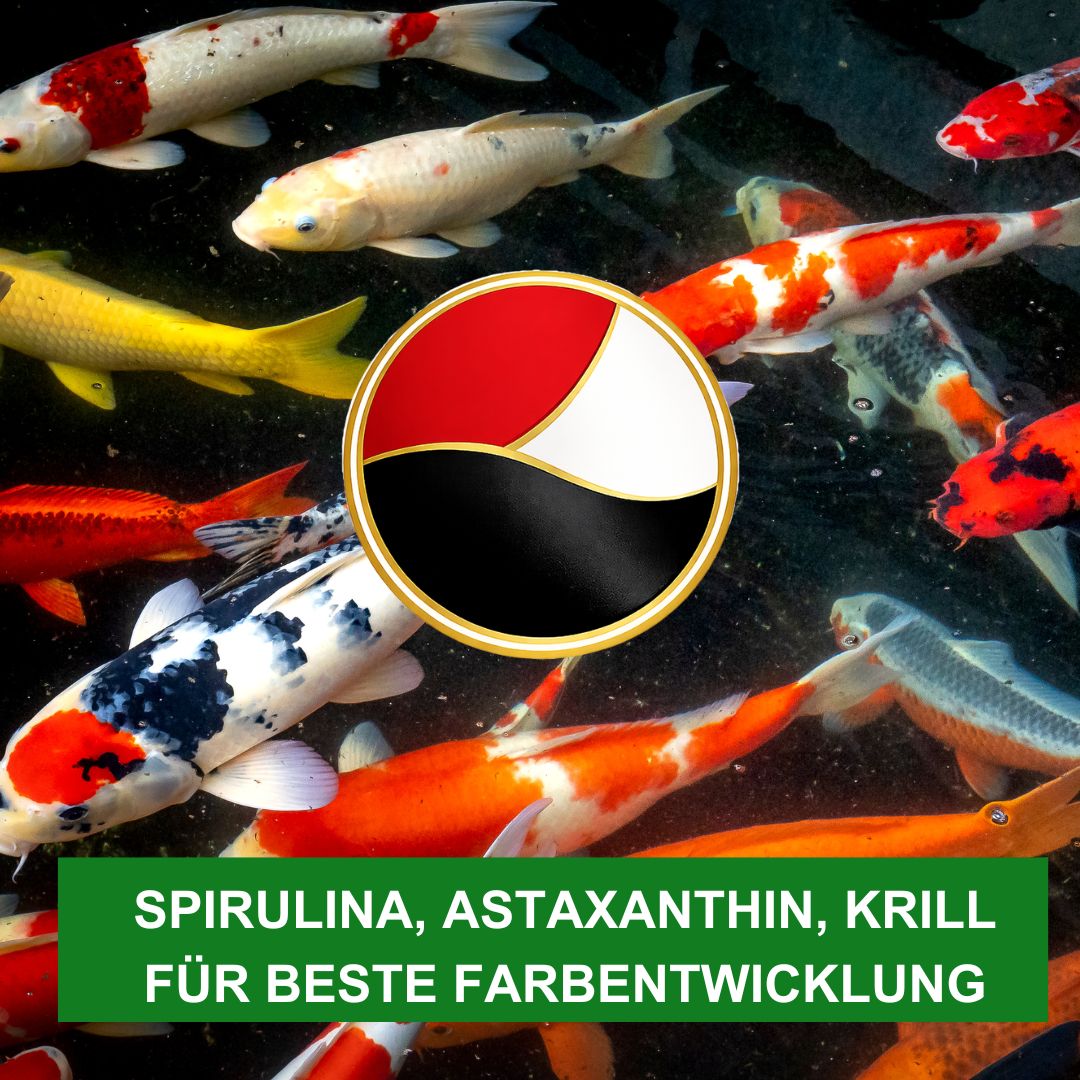 KENKOU® Selektion INTENS Farbfutter-MIX in 5 oder 10 Liter