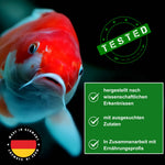 KENKOU® Selektion INTENS Farbfutter-MIX in 5 oder 10 Liter