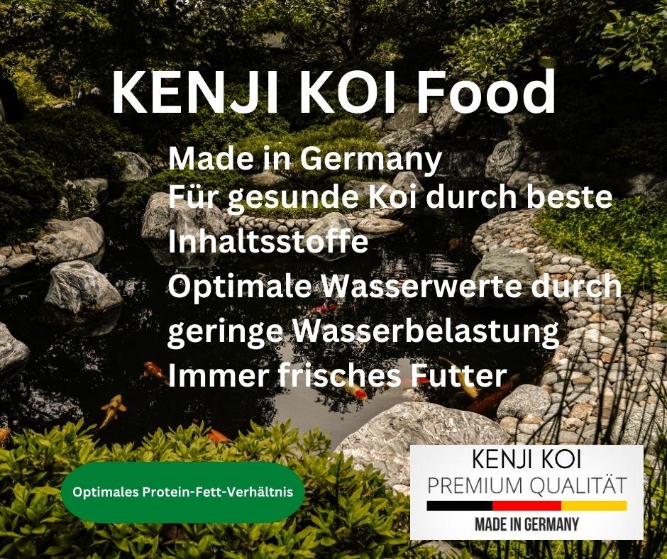 KENJI KOI Baby Koi Food 1 - 250g