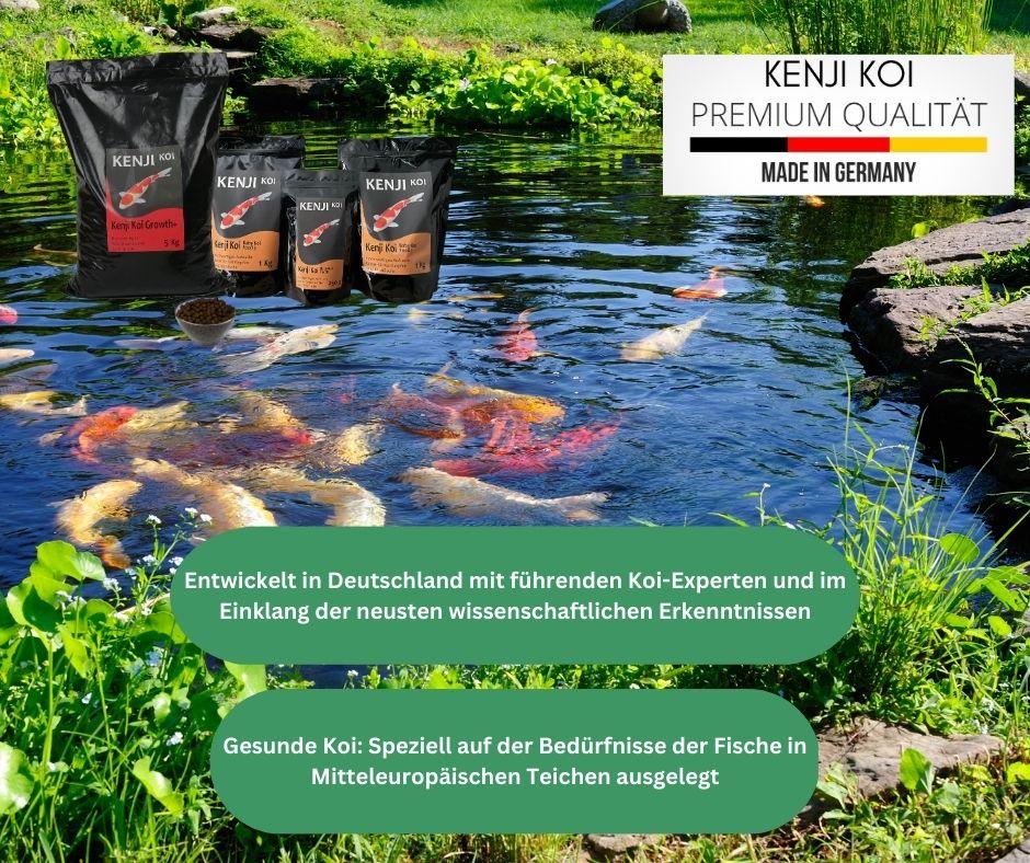 KENJI KOI Baby Koi Food 2 - 1 KG