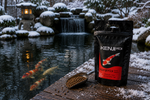 KENJI KOI Winter Balance - sinkend